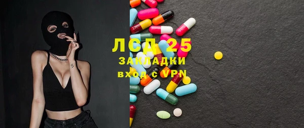 PSILOCYBIN Бородино
