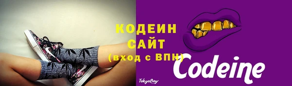 PSILOCYBIN Бородино