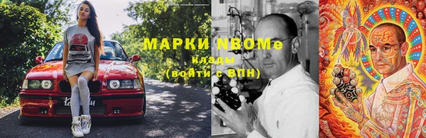 PSILOCYBIN Бородино