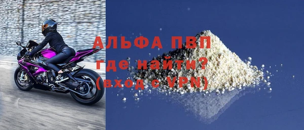 PSILOCYBIN Бородино