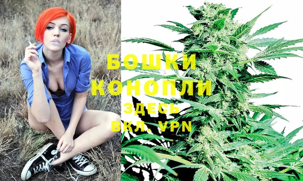 PSILOCYBIN Бородино