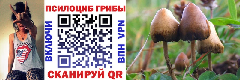 Псилоцибиновые грибы мухоморы  Переславль-Залесский 